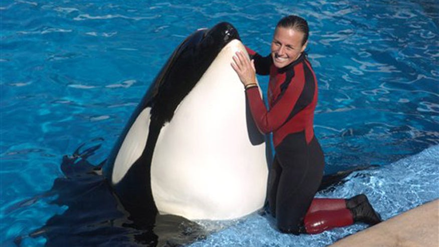SeaWorld Death